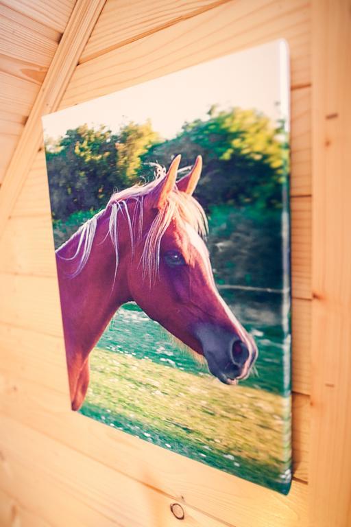 Vila Dom Koprowo Międzywodzie Exteriér fotografie
